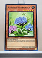 Yugioh! Hidden Arsenal: Chapter 1 Singles Set C (HAC1 - Common) 1st Edition