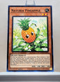 Yugioh! Hidden Arsenal: Chapter 1 Singles Set C (HAC1 - Common) 1st Edition