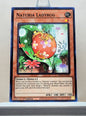 Yugioh! Hidden Arsenal: Chapter 1 Singles Set C (HAC1 - Common) 1st Edition