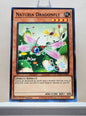 Yugioh! Hidden Arsenal: Chapter 1 Singles Set C (HAC1 - Common) 1st Edition