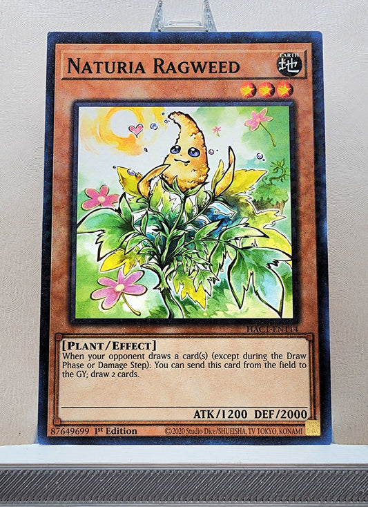 Yugioh! 1x Naturia Ragweed (HAC1 - Duel Terminal Common Parallel Rare) 1st Edition