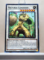 Yugioh! 1x Naturia Landoise (HAC1 - Duel Terminal Common Parallel Rare) 1st Edition