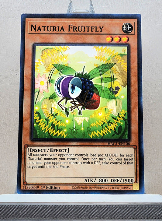 Yugioh! 1x Naturia Fruitfly (HAC1 - Duel Terminal Common Parallel Rare) 1st Edition