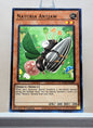 Yugioh! 1x Naturia Antjaw (HAC1 - Duel Terminal Common Parallel Rare) 1st Edition