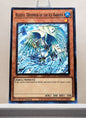 Yugioh! 1x Blizzed, Defender of the Ice Barrier (HAC1 - Duel Terminal Common Parallel Rare) 1st Edition