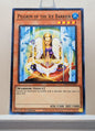 Yugioh! 1x Pilgrim of the Ice Barrier (HAC1 - Duel Terminal Common Parallel Rare) 1st Edition