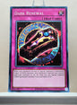 Yugioh! Legendary Dragon Decks Singles Set A (LEDD - Common) Unli Edition