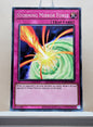 Yugioh! Legendary Dragon Decks Singles Set B (LEDD - Common) Unli Edition