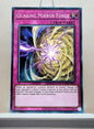 Yugioh! Legendary Dragon Decks Singles Set B (LEDD - Common) Unli Edition