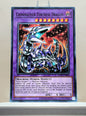 Yugioh! Legendary Dragon Decks Singles Set B (LEDD - Common) Unli Edition