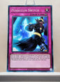 Yugioh! Legendary Dragon Decks Singles Set C (LEDD - Common) Unli Edition