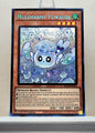 Yugioh! 1x Mulcharmy Fuwalos (ROTA - Secret Rare) 1st Edition