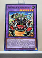 Yugioh! Rage of the Abyss Singles (ROTA - Common) 1st Edition