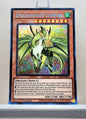 Yugioh! 1x Dragonmaid Lorpar (RA03 - Secret Rare) 1st Edition