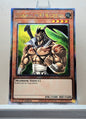 Yugioh! 1x Elemental HERO Wildheart (RA03 - Quarter Century Secret Rare) 1st Edition