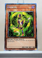 Yugioh! 1x Krebons (RA03 - Platinum Secret Rare) 1st Edition