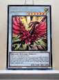 Yugioh! 1x Black Rose Moonlight Dragon (RA03 - Secret Rare) 1st Edition