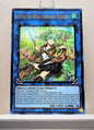 Yugioh! 1x Wynn the Wind Charmer, Verdant (RA03 - Ultra Rare) 1st Edition