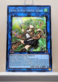 Yugioh! 1x Wynn the Wind Charmer, Verdant (RA03 - Secret Rare) 1st Edition