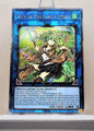 Yugioh! 1x Wynn the Wind Charmer, Verdant (RA03 - Quarter Century Secret Rare) 1st Edition