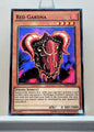 Yugioh! The Dark Illusion Singles (TDIL - Common) 1st/Unli Edition