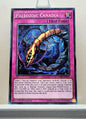 Yugioh! The Dark Illusion Singles (TDIL - Common) 1st/Unli Edition