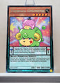 Yugioh! 1x Performapal Gumgumouton (TDIL - Rare) 1st Edition