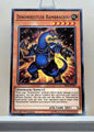 Yugioh! Rising Rampage Singles (RIRA - Common) 1st/Unli Edition