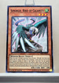 Yugioh! Rising Rampage Singles (RIRA - Common) 1st/Unli Edition