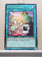 Yugioh! Maximum Crisis Singles (MACR - Common) 1st/Unli Edition