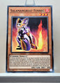 Yugioh! Dark Neostorm Singles (DANE - Common) 1st/Unli Edition