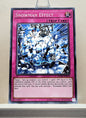 Yugioh! Dark Neostorm Singles (DANE - Common) 1st/Unli Edition