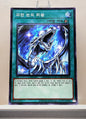 Yugioh Korean! 1x Majesty with Eyes of Blue (LGB1-KR008 - Normal Parallel Rare)