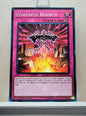 Yugioh! Structure Deck: Cyberse Link Singles (SDCL - Common) 1st Edition