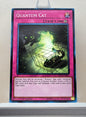 Yugioh! Structure Deck: Cyberse Link Singles (SDCL - Common) 1st Edition