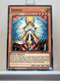 Yugioh! Structure Deck: Saga of Blue-Eyes White Dragon Singles (SDBE - Common) Unli Edition