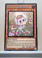 Yugioh! 1x Mulcharmy Meowls (SUDA - Secret Rare) 1st Edition