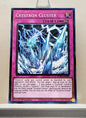 Yugioh! Supreme Darkness Singles (SUDA - Common) 1st Edition