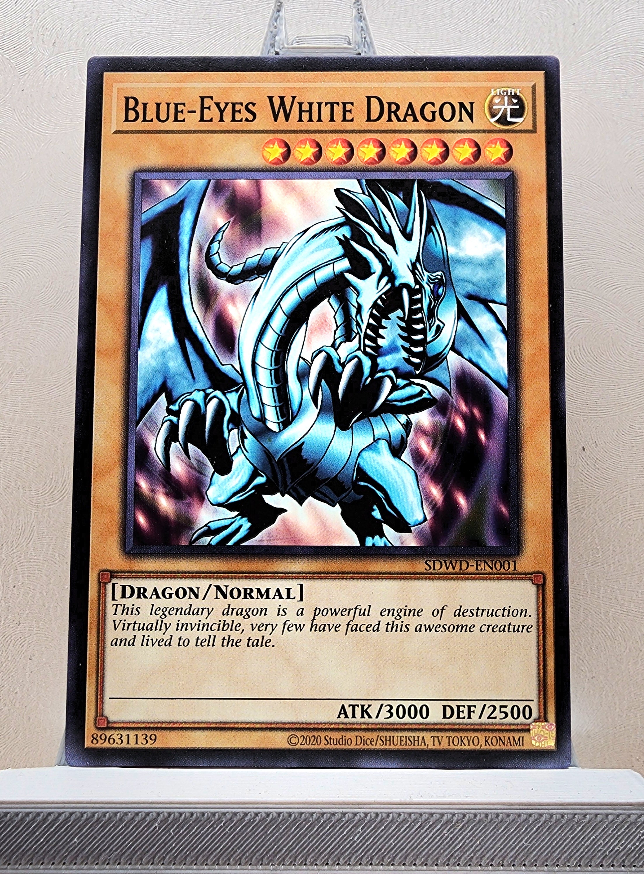 BEWD他 PSA 8 Yu-Gi-Oh! Blue-Eyes White Dragon LOB-EN001 25th