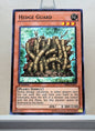 Yugioh! Battle Pack: Epic Dawn Singles SET 1 (BP01 - Common) 1st Edition