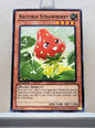 Yugioh! Battle Pack: Epic Dawn Singles SET 2 (BP01 - Common) 1st Edition