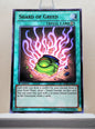 Yugioh! 1x Shard of Greed (BP02 - Rare) 1st Edition