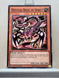 Yugioh! Duelist Pack: Rivals of the Pharaoh Singles (DPRP - Common) 1st Edition