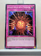 Yugioh! Duelist Pack: Rivals of the Pharaoh Singles (DPRP - Common) 1st Edition