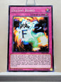 Yugioh! Duelist Pack: Rivals of the Pharaoh Singles (DPRP - Common) 1st Edition