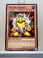 Yugioh! Duelist Pack: Yugi Singles (DPYG - Common) Unli Edition