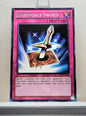 Yugioh! Duelist Pack: Yugi Singles (DPYG - Common) Unli Edition