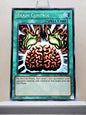 Yugioh! Duelist Pack: Yugi Singles (DPYG - Common) Unli Edition