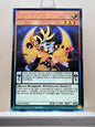 Yugioh! 1x Lunalight Tiger (RA04 - Prismatic Ultimate Rare) 1st Edition
