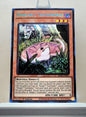 Yugioh! 1x Danger Tsuchinoko (RA04 - Secret Rare) 1st Edition